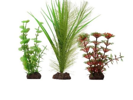 Collection de 3 plantes Limnophila rouge Plant Scapes Aqualife Fluval, 10-20 cm (4-8 po) Fashion