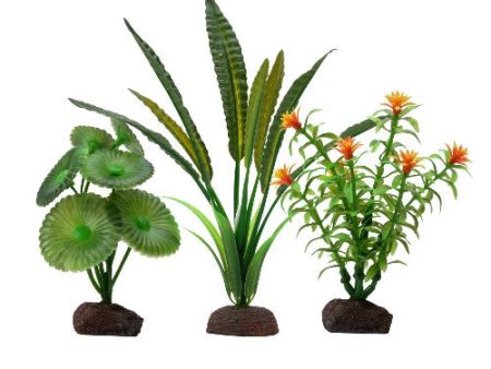 Collection de 3 plantes Élodée Plant Scapes Aqualife Fluval, 10-20 cm (4-8 po) Online Hot Sale