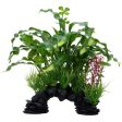 Aponogeton crispé Deco Scapes Aqualife Fluval, 25,5 cm (10 po) For Cheap