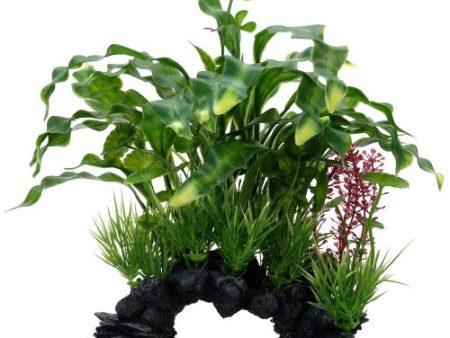 Aponogeton crispé Deco Scapes Aqualife Fluval, 25,5 cm (10 po) For Cheap