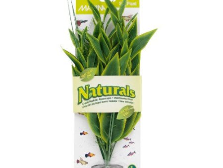 Dracéna Naturals Marina en soie, vert, grand, 33-35,5 cm (13-14 po) Online