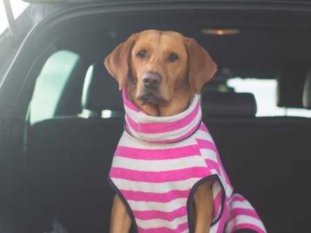 Harbour Hounds Orange Stripe Drying Coat For Cheap