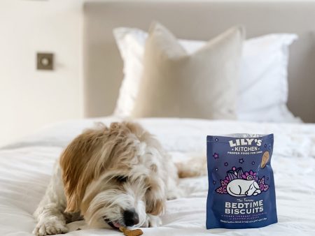 Lily s Kitchen Organic Bedtime Biscuits 80g Hot on Sale