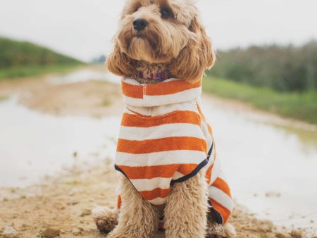 Harbour Hounds Orange Stripe Drying Coat Fashion