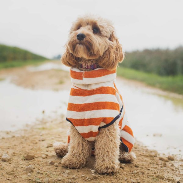 Harbour Hounds Orange Stripe Drying Coat Fashion