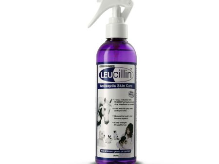 Leucillin Antiseptic Skin Care Spray For All Animals Online now