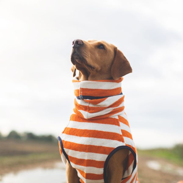 Harbour Hounds Orange Stripe Drying Coat Fashion