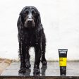 Animology Fox Poo Dog Shampoo For Discount