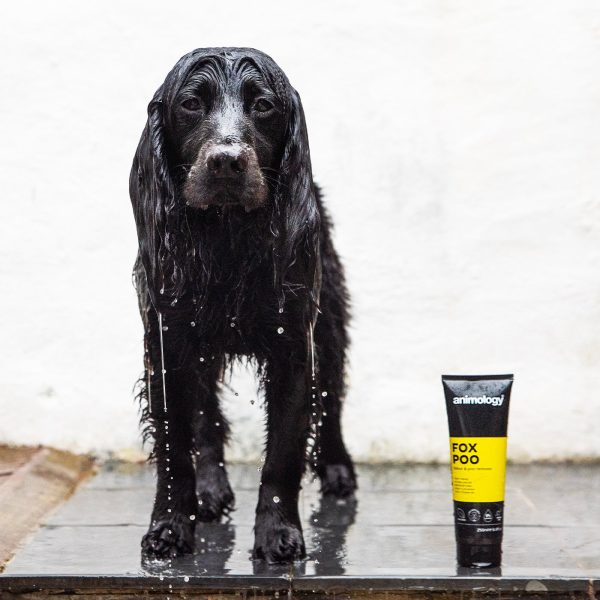 Animology Fox Poo Dog Shampoo For Discount