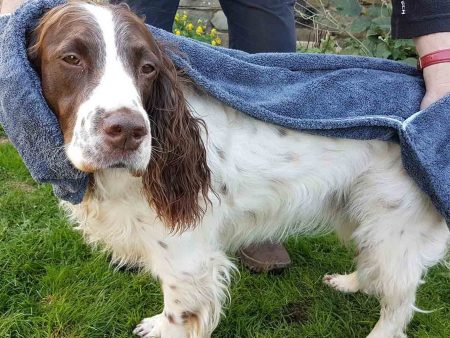 Henry Wag Glove Drying Towel For Sale