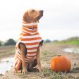 Harbour Hounds Orange Stripe Drying Coat Fashion